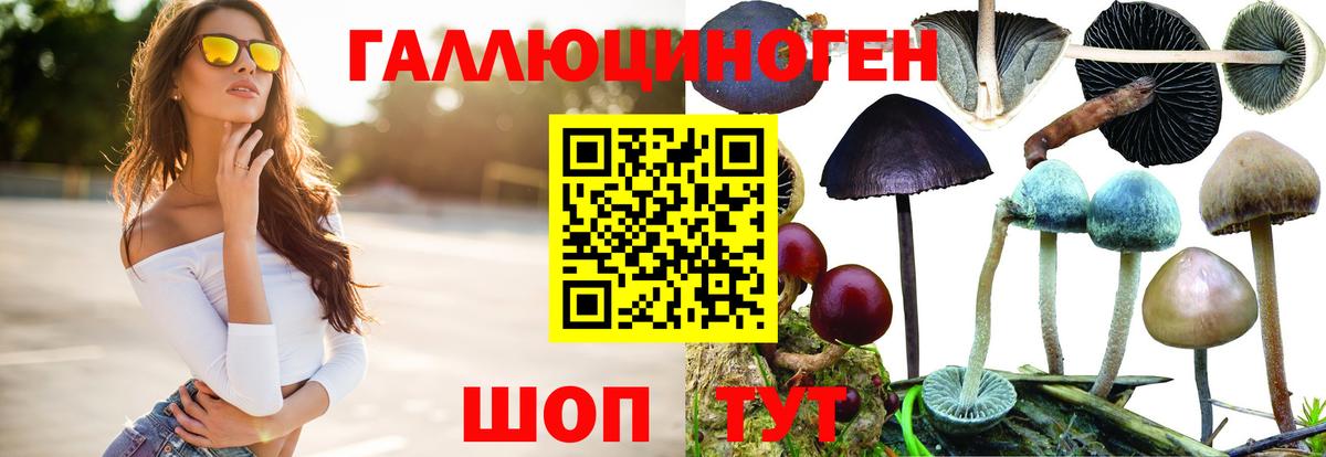 Галлюциногенные грибы прущие грибы  Вход с VPN  Псилоцибиновые грибы Psilocybine cubensis  Рыбинск 
